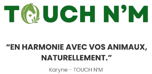 logo touch nm TouchN'M